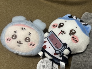 �����̐험�i